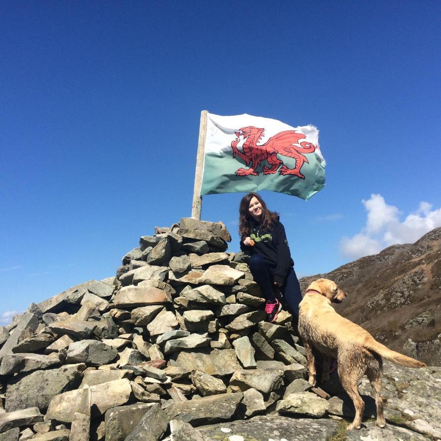 Lle Mary - Beautiful Views, Hot Tub, Secluded, Dog Welcome, Barmouth Llanddwywe Екстериор снимка
