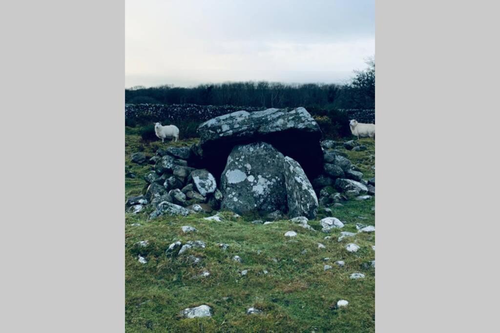 Lle Mary - Beautiful Views, Hot Tub, Secluded, Dog Welcome, Barmouth Llanddwywe Екстериор снимка